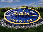 avalon new jersey homes, condos and investment propeties for sale by joseph zarroli at island realty group