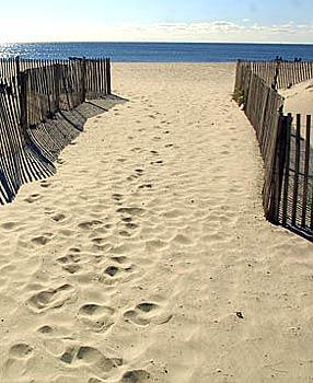 Wildwood Beach information including links to the North Wildwood beach patrol, Wildwood Beach Patrol and Wildwood Crest Beach Patrol